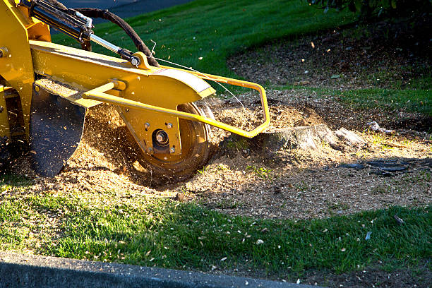 Seasonal Cleanup in White River Junction, VT